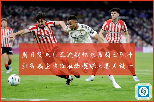 周日艾米利亚迎战帕尔马骑士队冲刺备战全力瞄准橄榄球决赛关键一成长观察：最新赛事动态与深度分析