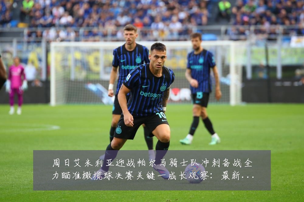 周日艾米利亚迎战帕尔马骑士队冲刺备战全力瞄准橄榄球决赛关键一成长观察:最新赛事动态与深度分析